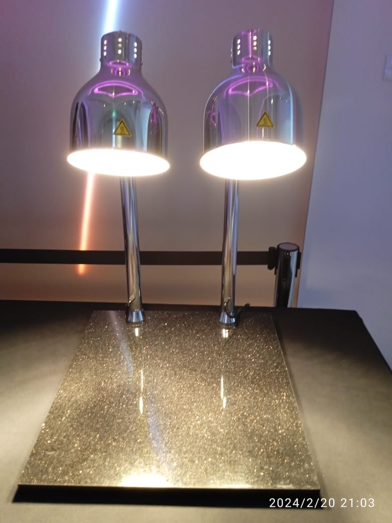 Table Top Carving lamp with 2 bulb